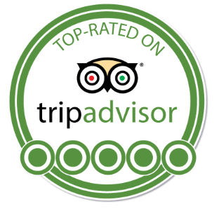 TripAdvisor